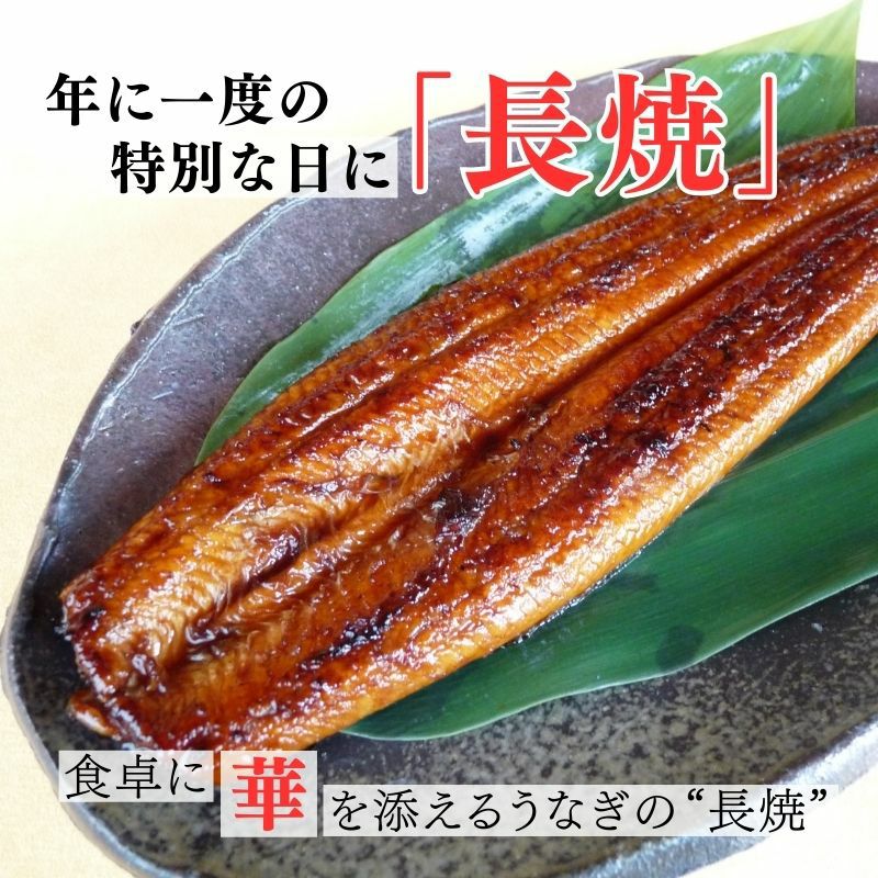 地下水育ち「山田のうなぎ」蒲焼き【長焼】110g前後×1尾 鹿児島産