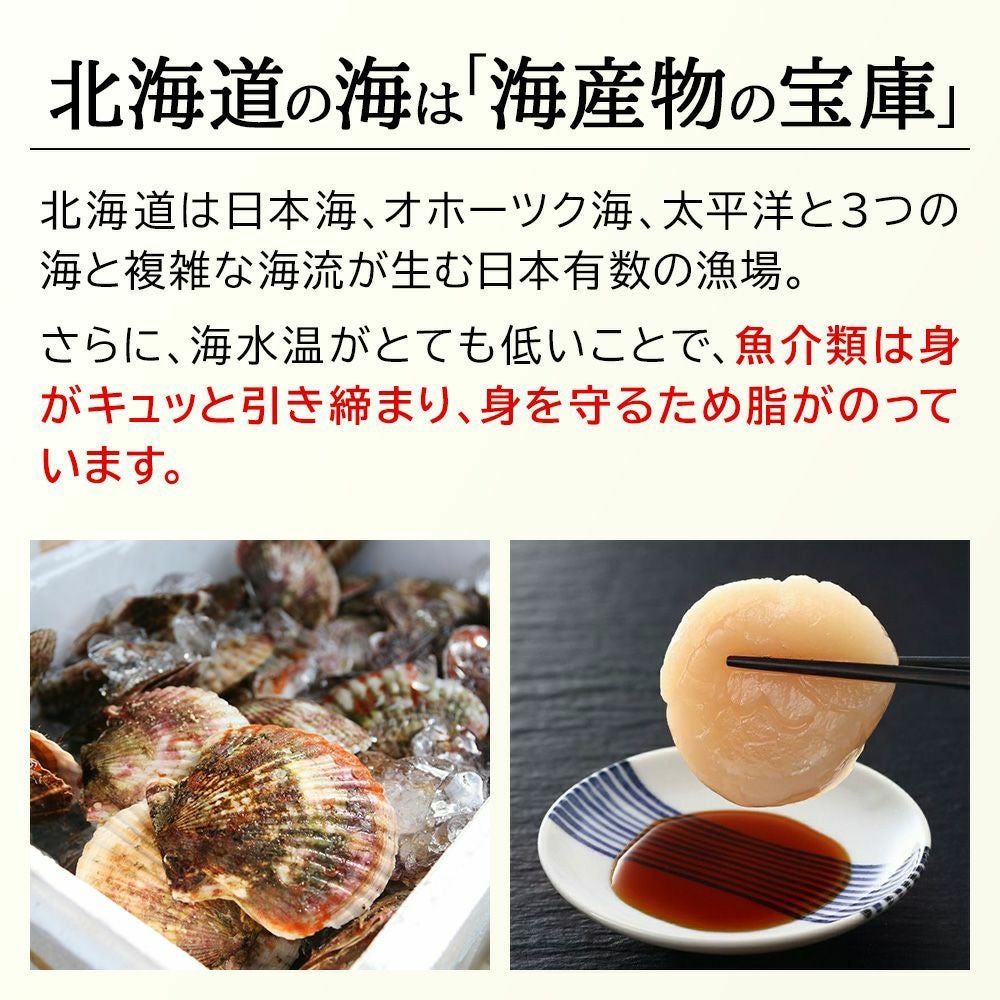 北海道産 ホタテ貝柱 500g お刺身用 商品画像 3