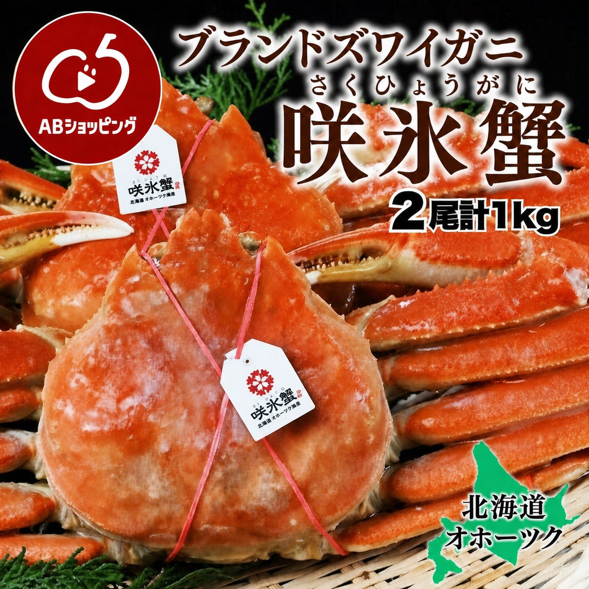 北海道オホーツクのズワイガニ『咲氷蟹』 2尾 計1kg 冷凍