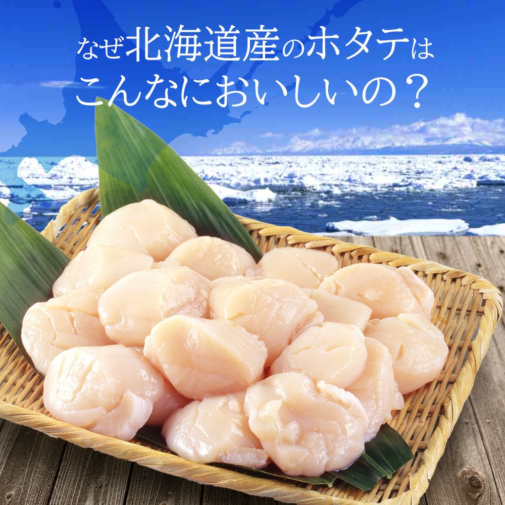 北海道産 ホタテ貝柱 1kg お刺身用 商品画像 2