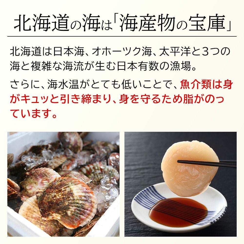 北海道産 ホタテ貝柱 1kg お刺身用 商品画像 3