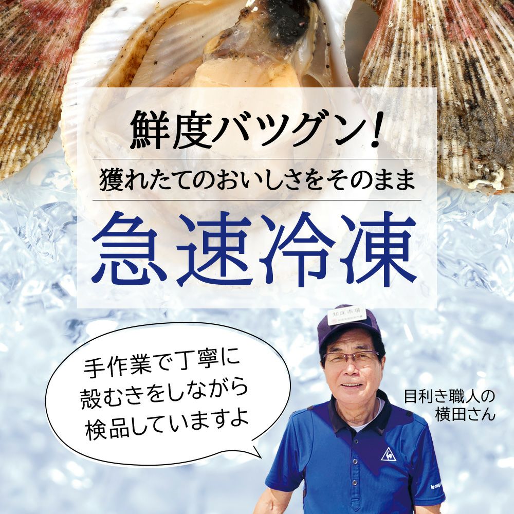 北海道産 ホタテ貝柱 1kg お刺身用 商品画像 5