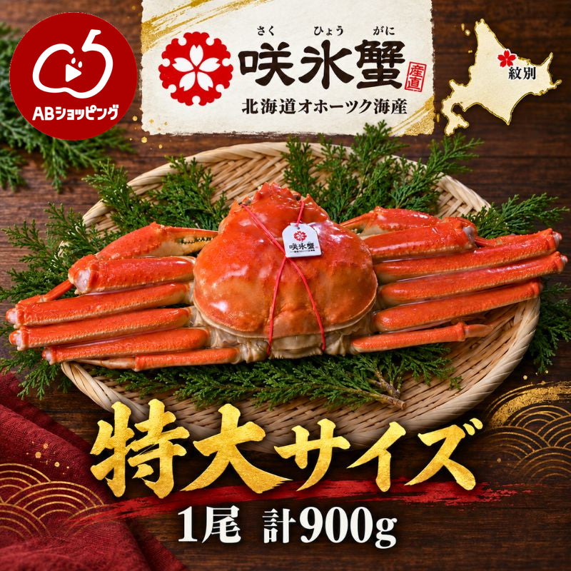 北海道オホーツクのズワイガニ『咲氷蟹』 1尾 計900g