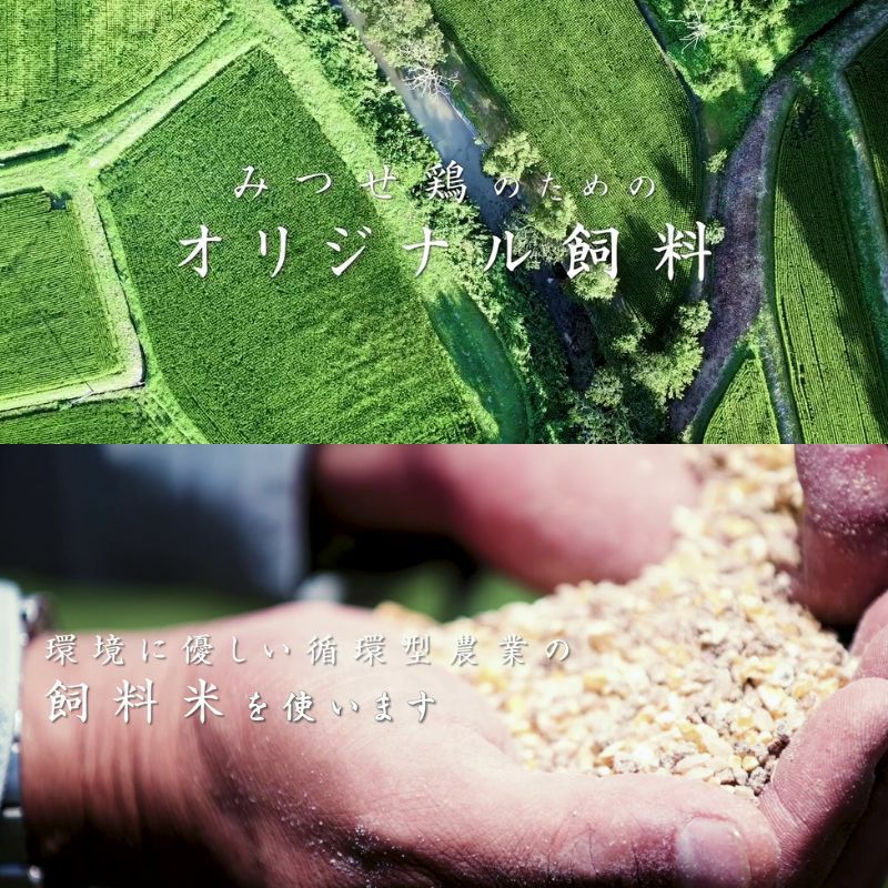 みつせ鶏 ごま南蛮 タルタルソース付き 210g×1パック 商品画像 7