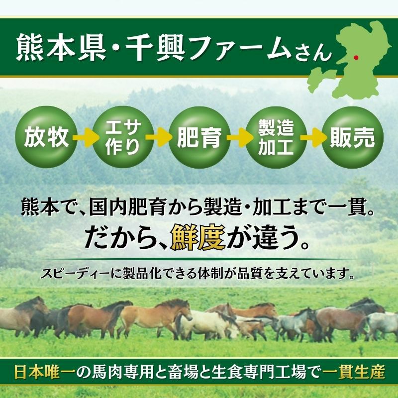 熊本鮮馬刺し 霜降りスライス 40g×1パック タレ付き 商品画像 2