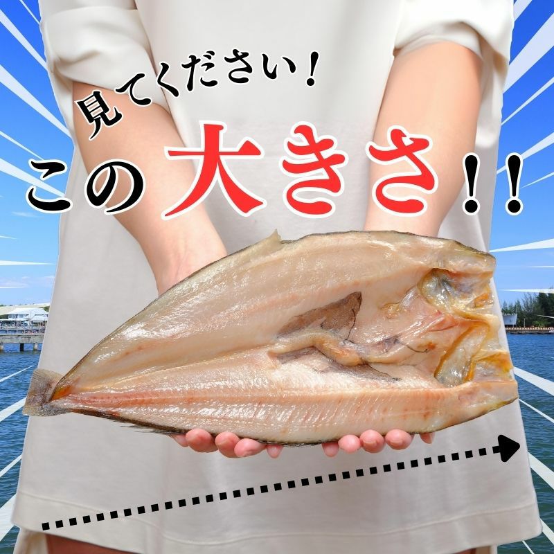 羅臼産 真ほっけの開き
400g前後×4尾