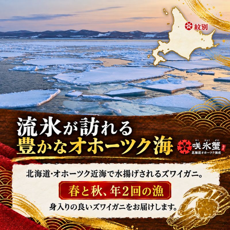北海道オホーツクのズワイガニ『咲氷蟹』 2尾 計1.3kg