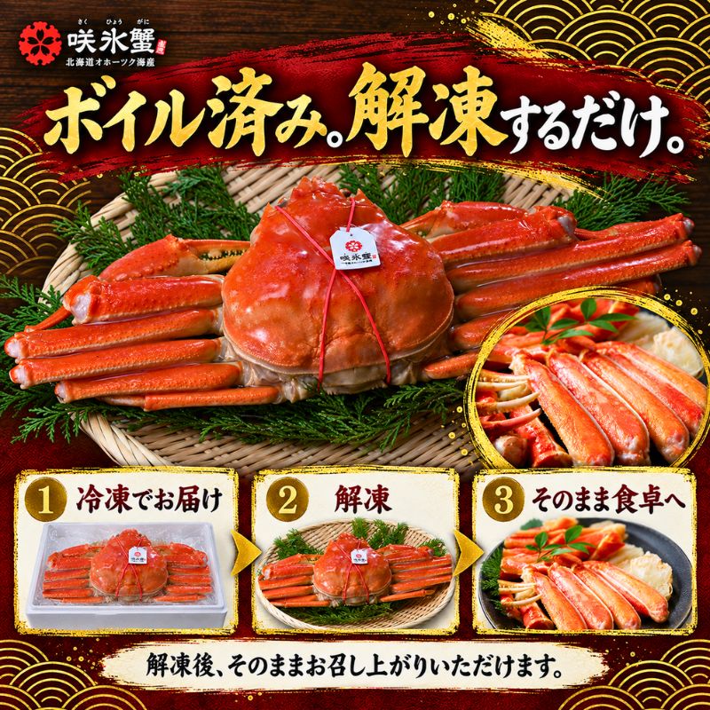 北海道オホーツクのズワイガニ『咲氷蟹』 2尾 計1.3kg