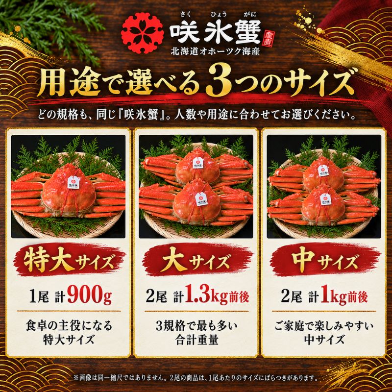 北海道オホーツクのズワイガニ『咲氷蟹』 2尾 計1.3kg